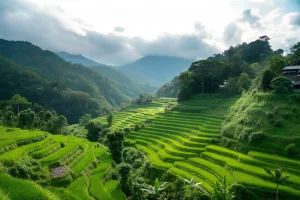 Sustainable Living in Bali 2027: A Comprehensive Guide